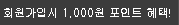 1,000point